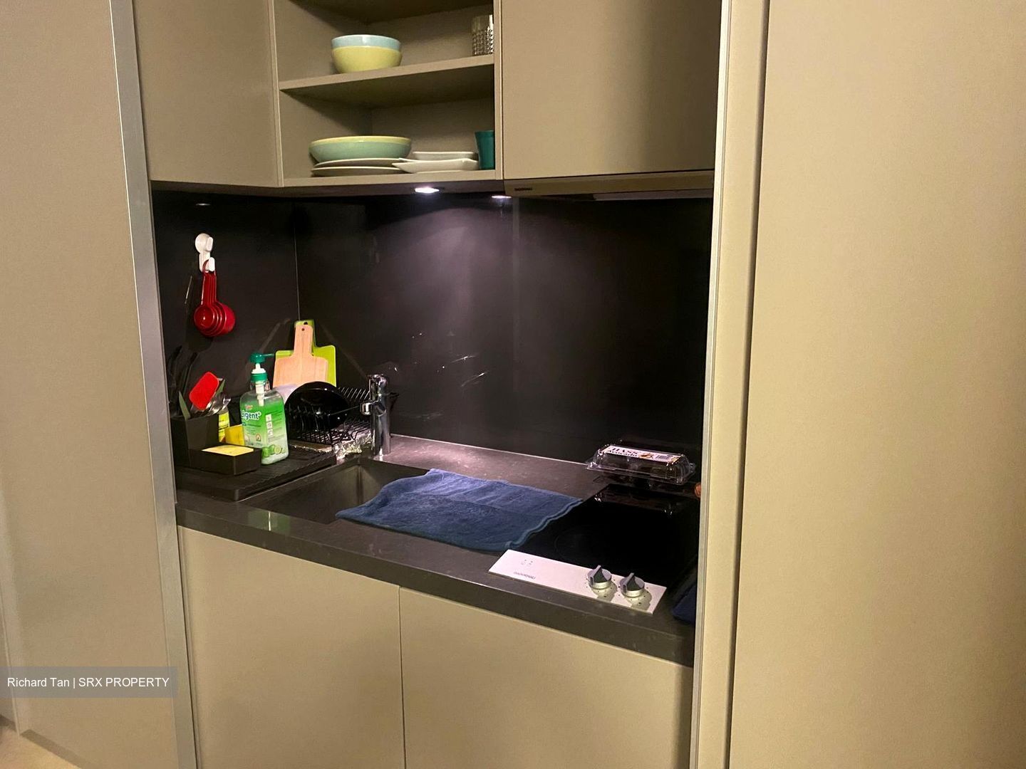The Boutiq (D9), Apartment #545241141